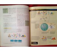 Visualizing Nutrition