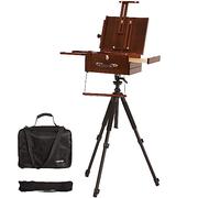 VISWIN Portable Plein Air Easel, Pochade Box with Aluminum Tripod & 2 Nylon Carry Bags, French Tabletop & Floor Easel Stand for Painting, Displaying Outdoor, Travel Easel for Artist, Adult, Beginner