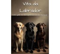 Vita da Labrador: Tutto quello che devi sapere sui Labrador Retriever