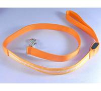 Vita Sharks Light Up LED Dog Lead/Leash for Safe Night Time Visibility in The Dark. Weatherproof Bright Visible Nylon Construction. Cool Fun Funky Dog Accessories (Orange)
