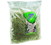Vita Verde Hay & Peppermint 500g