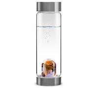 VitaJuwel ViA FIVE ELEMENTS | Crystal Water Bottle with Amethyst, Chalcedony, Petrified Wood, Rose Quartz & Agate - Reflection, Growth & Foundation