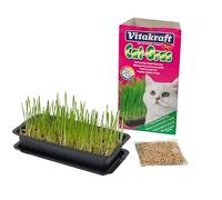 Vitakraft Cat Grass Seed Kit Wheatgrass for Pet, Grow Indoor Treat in Tray 120 Gram (Pack of 6)