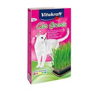 Vitakraft Cat Grass Seed Kit Wheatgrass for Pet, Grow Indoor Treat in Tray 120 Gram (Pack of 6)