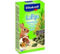 Vitakraft Lofty's Treats for Small Animals - 100g Box