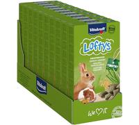 Vitakraft Small Animal Lofty's 100 g (Pack of 10)