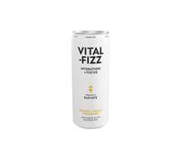 Vital Fizz Elevate - Mango & Peach Lemonade with Tremella & B-vits 250ml
