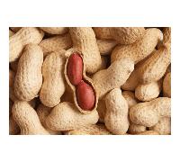 Vital Peanuts in Shells - 10kg