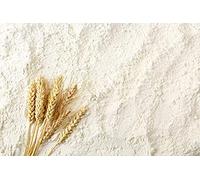 Vital Wheat Gluten Flour - Flour for making Seitan - Vegan Meat Substitute - Seitan Flour Powder Baking Bread Bulk PURIMA - 25kg