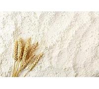 Vital Wheat Gluten - Flour for Making Seitan - Vegan Meat Substitute - Seitan Flour Powder - Baking Bread Improver Bulk PURIMA (2kg)
