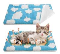VitalCozy 2 Pack Self Warming Cat Mat Self Heating Pad Bed Reversible Machine Washable Reflects Body Heat Warm Thermal Pet Pad Crate Blanket for Feral and Indoor Cat (Blue, White,21" X 14",Clouds)
