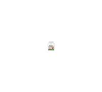 Vitamin B Complex 365 Tablets with B1 B2 B3 B6 B12 Biotin Folic Acid