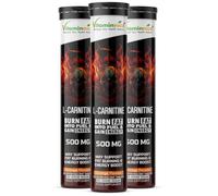 Vitaminnica L-Carnitine | Burn Fat into Fuel & Boost Natural Energy - Supports Weight Management, Endurance & Metabolism | Stimulant-Free Fat Burner | Vegan, Non-GMO, Gluten-Free (Pack of 3)