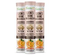 Vitaminnica Lion’s Mane Mushroom | 100% Pure Organic Tablets | Brain & Memory Support Supplement - Natural Nootropic for Focus, Clarity & Cognitive Function | Vegan, Non-GMO, Gluten-Free (Pack of 3)
