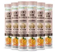 Vitaminnica Lion’s Mane Mushroom | 100% Pure Organic Tablets | Brain & Memory Support Supplement - Natural Nootropic for Focus, Clarity & Cognitive Function | Vegan, Non-GMO, Gluten-Free | Pack 6