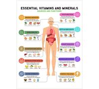 Vitamins and Mineral Chart Sheet - Nutrition Facts Food List, Essential Micronutrients Chart, Healthy Protein Poster, Fitness Meal Tracker Metal Tin Sign 8x12 inch