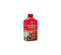 Organic Liquid Strawberry Feed
