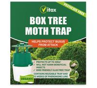 Vitax Box Tree Moth Trap, Protects Buxus, Box Hedge, 200 Square Metres of Coverage, Bird and Pollinator Friendly