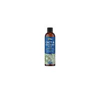 Vitax Cacti & Succulent Feed Concentrated 250ml