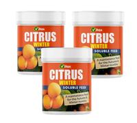 Vitax Citrus Feed 200G Soluble Fertiliser Promotes Healthy Growth Prevents Leaf Drop And Supports Fruit Development Pack Of 3