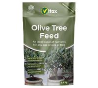 Vitax Olive Tree Feed, Suitable For Borders, Pots & Containers, Encourages Healthy Growth: 0.9Kg Pouch