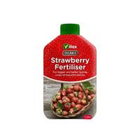 Organic Liquid Strawberry Fertiliser Natural Plant Food for Healthy, Bountiful Strawberries Promotes Vigorous Growth, Rich Flavor, and Prolific Yields Easy to Use, 1L Bottle