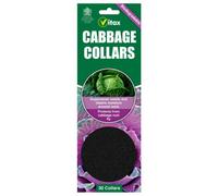 Vitax Pack Of 30 Biodegradeable Cabbage Collars - Protects Brassicas From Cabbage Rot Fly