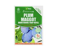 Vitax - Plum Maggot Trap - 35g Refill Pack