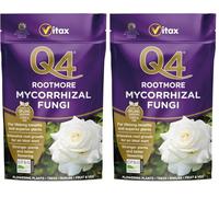 Vitax Q4 Rootmore, Mycorrhizal Fungi, Stimulates Root Growth, Suitable For Flowers, Shrubs And Edibles, Organic - 250G (Pack of 2)