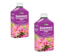 Vitax Seaweed Plus Sequestered Iron 1 Litre Liquid Fertiliser For Lime Hating Plants Lawns Shrubs Fruits And Ericaceous Plants Pack Of 2