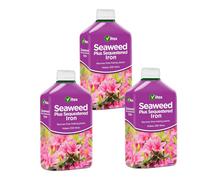 Vitax Seaweed Plus Sequestered Iron 1 Litre Pack Of 3 Liquid Fertiliser For Lime Hating Plants Lawns Shrubs Fruits And Ericaceous Plants