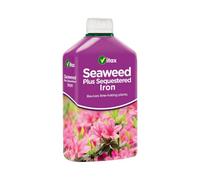 Vitax Seaweed Plus Sequestered Iron 500Ml Liquid Fertiliser For Lime Hating Plants Lawns Shrubs Fruits And Acid Loving Plants
