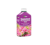 Vitax Seaweed Plus with Sequestered Iron 500ml Liquid Plant Feed for Azaleas Camellias & Heathers Corrects Iron Deficiency Greens Lawns Boosts Foliage Growth Garden Fertiliser Tonic