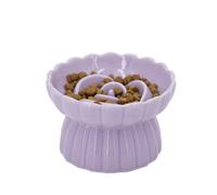 Vitisyao Ceramic Cat Slow Feeder, Raised Slow Feeder Cat Bowl, Anti Vomiting and Whisker Friendly Kitty Dish, Elevated Puppy Kitten Food Bowl for Dry and Wet Food (Purple)