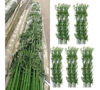 VITIWEDTY Tall Faux Bamboo Tree for Indoor Outdoor Use, 3ft 4ft 5ft 6ft 7ft 8ft, UV-Resistant Privacy Fence Decoration for Garden, Balcony (50 Pack 1.8m/5.9ftTall)