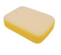 Vitrex Grouting Sponge Dual Purpose