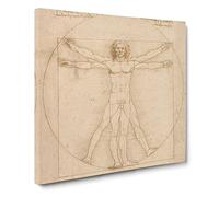Vitruvian Man Vol.2 by Leonardo da vinci Canvas Print | Gallery Wrapped 30mm Frame Wall Art | 20x20 inches | Ready to Hang | Classic People Picture | Living Room Bedroom Lounge Office