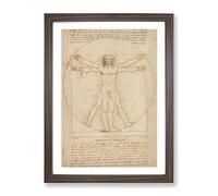 Vitruvian Man Vol.2 By Leonardo Da Vinci Classic Painting Framed Wall Art Print, Ready to Hang Picture for Living Room Bedroom Home Office Décor, Walnut A3 (34 x 46 cm)