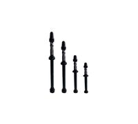 Vittoria Tubeless 60 mm Valve Black (2 Units)