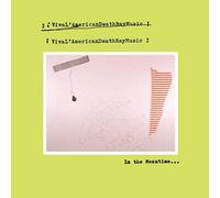 Viva L'American Death Ray Music - In The Meantime