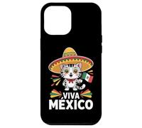 Viva Mexico Cute Cat Sombrero Flag Mexican Pride Case for iPhone 12 Pro Max