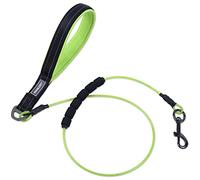 VIVAGLORY Chew Proof Dog Lead Toughbite Anti Chew Dog Lead, Leash with Traffic Handle & Double Handle for Training & Walking, Non Chewable Metal Chain Waterproof for Pet Puppy, 120cm, Green