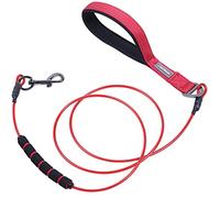 VIVAGLORY Chew Proof Dog Lead Toughbite Anti Chew Dog Lead, Leash with Traffic Handle & Double Handle for Training & Walking, Non Chewable Metal Chain Waterproof for Pet Puppy, 150cm, Red