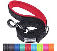 VIVAGLORY Dailyx Dog Lead, Dog Leash for Training & Walking with Soft Padded Handle, Heavy Duty & Double Layer Nylon for Pet Puppy, 90 x 2.5cm, Black