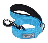 VIVAGLORY Dailyx Dog Lead, Dog Leash for Training & Walking with Soft Padded Handle, Heavy Duty & Double Layer Nylon for Pet Puppy, 180 x 2.5cm, Lake Blue