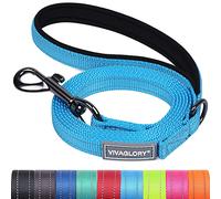 VIVAGLORY Dailyx Dog Lead, Dog Leash for Training & Walking with Soft Padded Handle, Heavy Duty & Double Layer Nylon for Pet Puppy, 150 x 1.4cm, Lake Blue