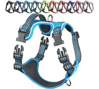 VIVAGLORY Dog Harness Easewalk No Pull Dog Harness with Handle Front Clip & Back Clip for Training Walking Lifting, No Pull Adjustable Easy On Padded Comfortable for Pet, M, Sky Blue - Patterned