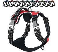 VIVAGLORY Dog Harness Easewalk No Pull Dog Harness with Handle Front Clip & Back Clip for Training Walking Lifting, No Pull Adjustable Easy On Padded Comfortable for Pet, M, Red - Plain