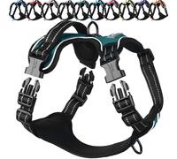 VIVAGLORY Dog Harness Easewalk No Pull Dog Harness with Handle Front Clip & Back Clip for Training Walking Lifting, No Pull Adjustable Easy On Padded Comfortable for Pet, S, Hunter Teal - Plain