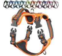 VIVAGLORY Dog Harness Easewalk No Pull Dog Harness with Handle Front Clip & Back Clip for Training Walking Lifting, No Pull Adjustable Easy On Padded Comfortable for Pet, L, Orange - Patterned